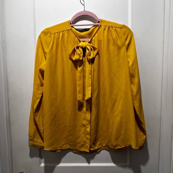 Zara EUC size S blouse. Matching hidden buttons - Picture 1 of 6